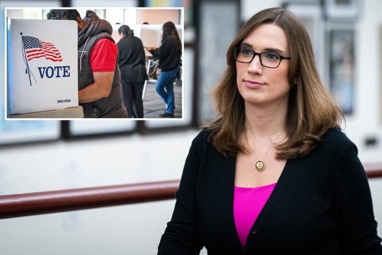 Sarah McBride admits ‘voters feel like Democrats have sort of been a–holes to them’