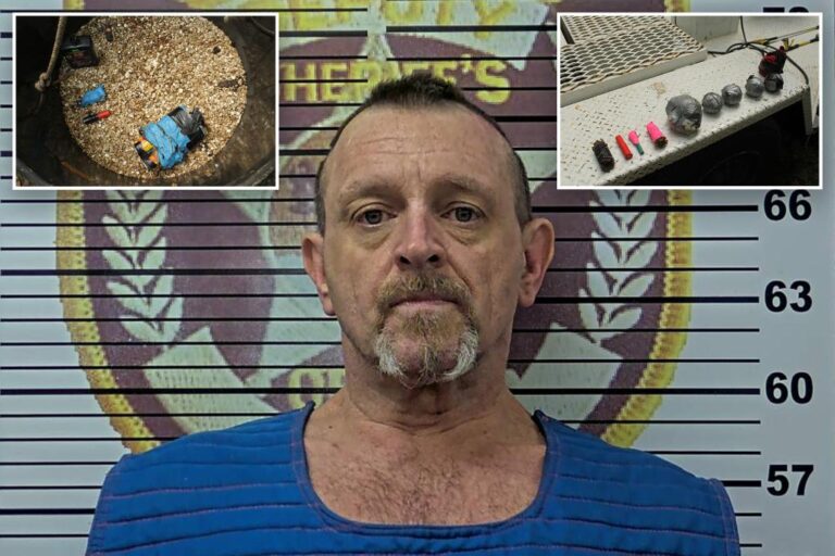 Tennessee man who threatened public officials had 14 IEDs: cops